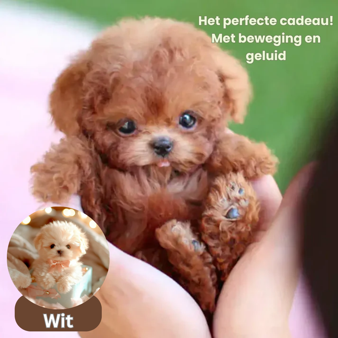 SnugglePup | Vivi tutto l'affetto di un cucciolo senza pensieri | elesira