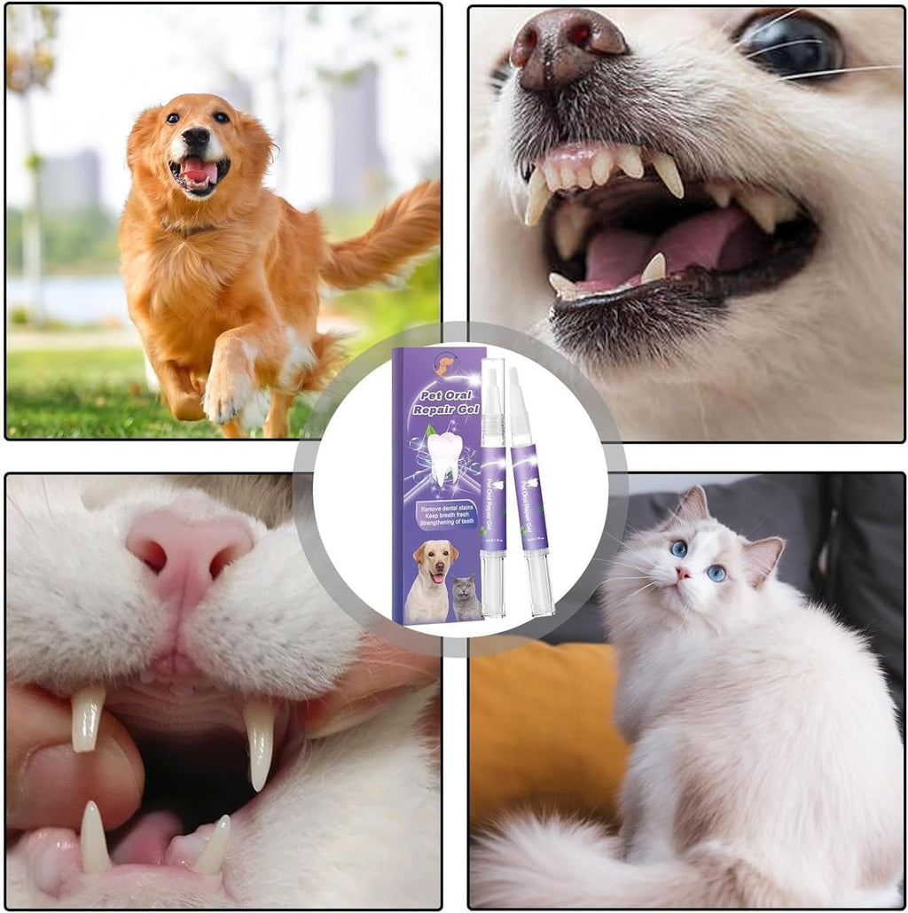 VitaSmile | Transforme o hálito e o sorriso do seu animal de estimação numa irresistível magia de mimos | elesira