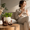 VeroNest | Transformă-ți spațiul cu un stil uimitor și plante care prosperă | elesira