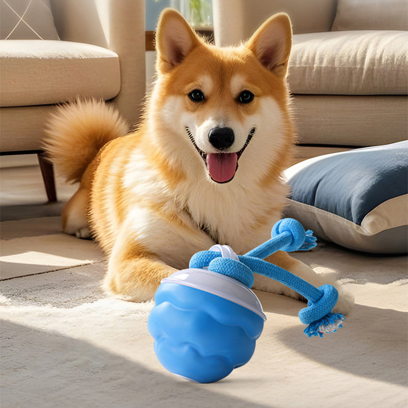 Sound-Activated LED Electronic Toy for Dogs | elesira