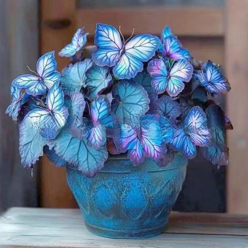 Nasiona VividFlair Butterfly Bloom | Zamień swój ogród w olśniewającą krainę motyli, która zachwyci każdego | elesira