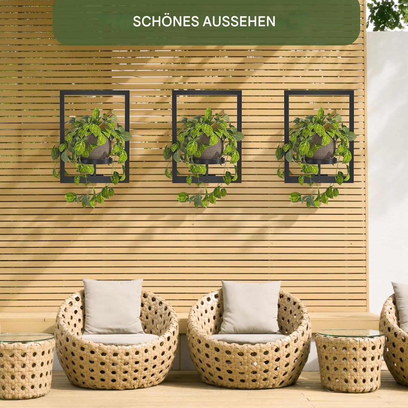 Wall Mounted Plant Holder - Metal Frame - Space-Saving - Plantify | elesira