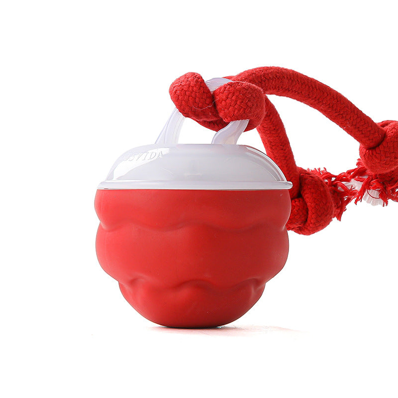 Sound-Activated LED Electronic Toy for Dogs | elesira