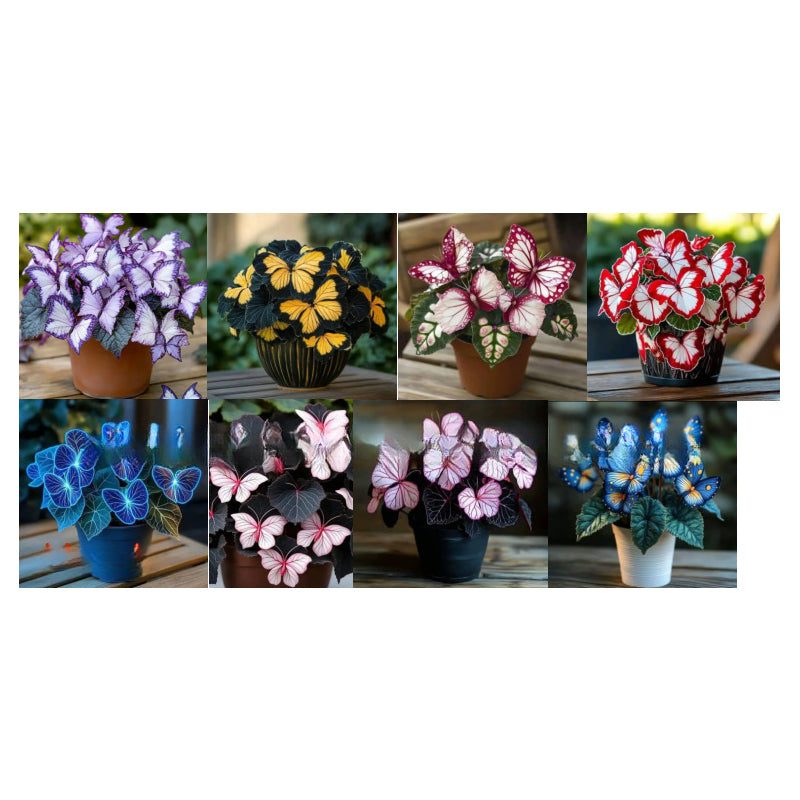 Semillas de mariposa en flor VividFlair | Convierte tu jardín en un deslumbrante paraíso de mariposas que conquista todos los corazones | elesira