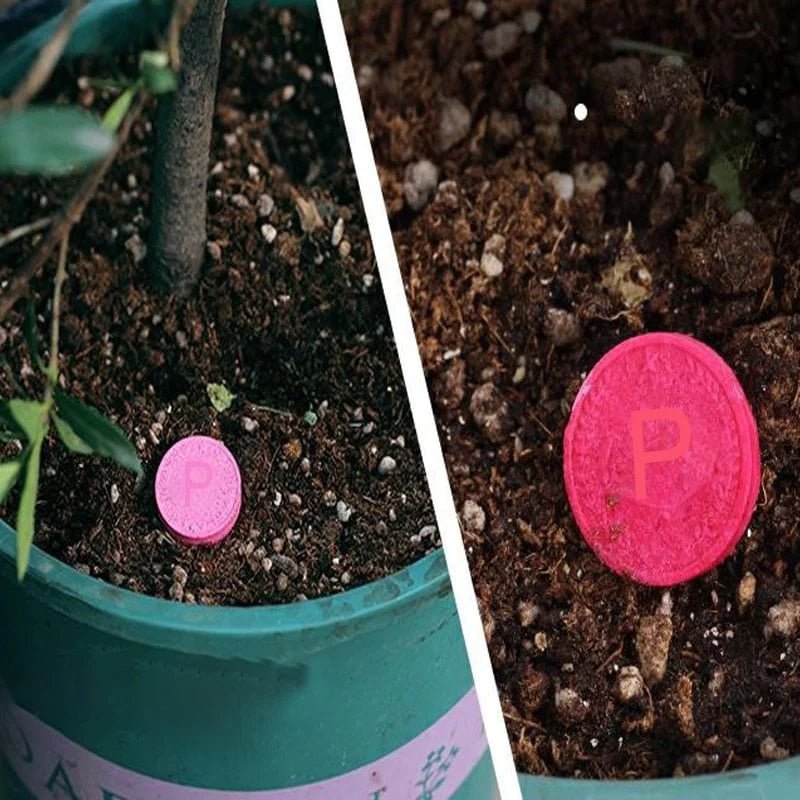 Verdanta Thrive | Transformez votre jardin grâce à une vitalité naturelle durable, sans effort | elesira