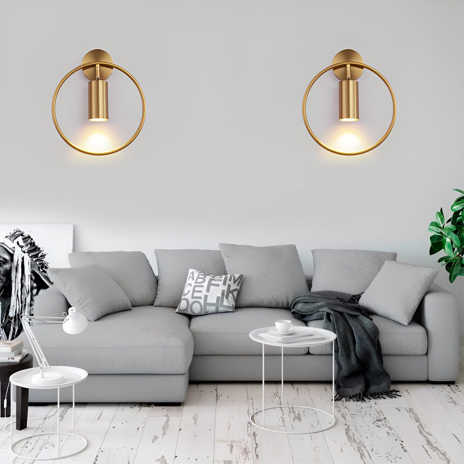 Canarra Light | elesira