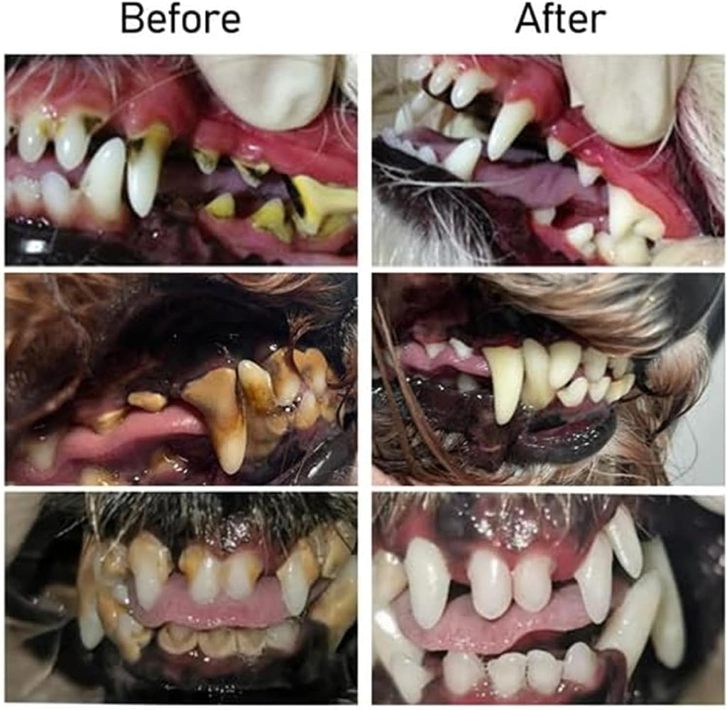 VitaSmile | Transforme o hálito e o sorriso do seu animal de estimação numa irresistível magia de mimos | elesira