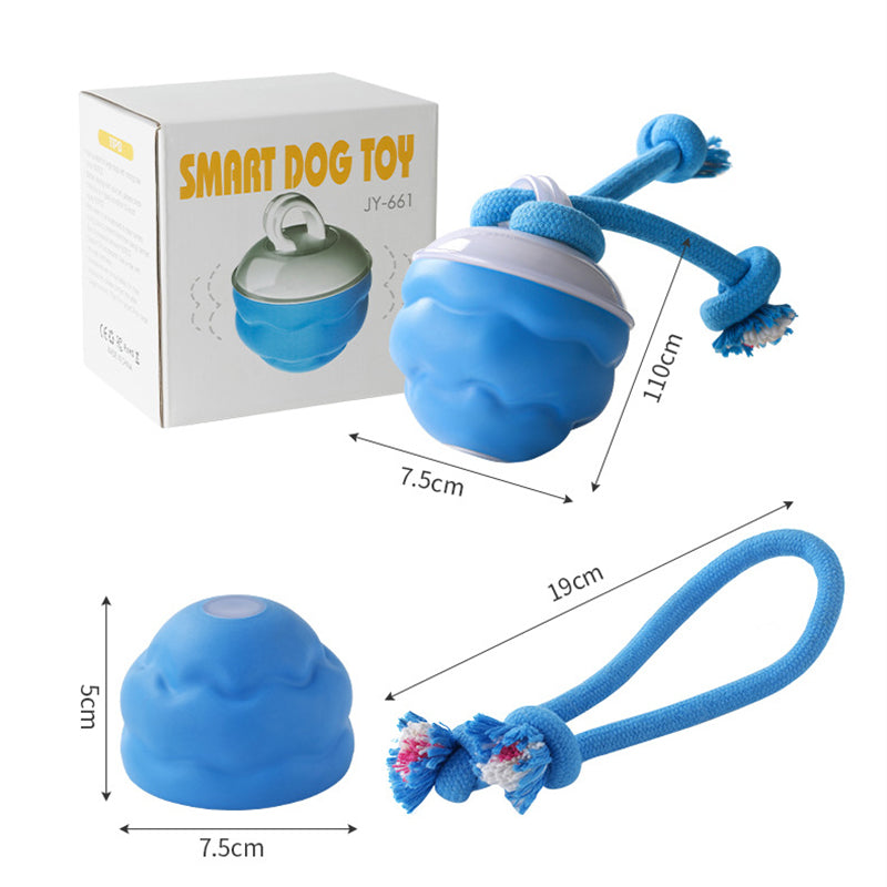 Sound-Activated LED Electronic Toy for Dogs | elesira