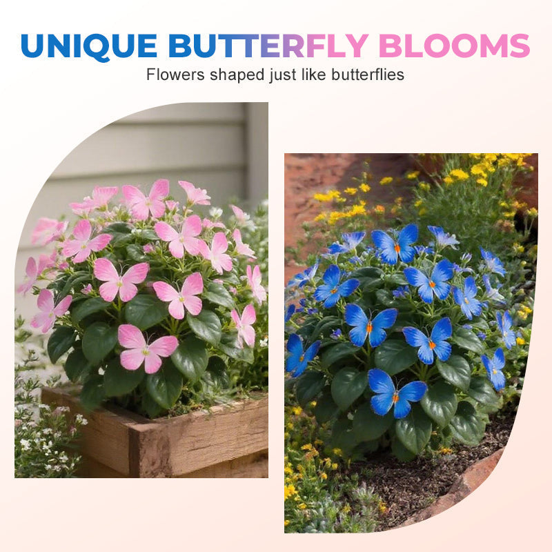 Semillas de mariposa en flor VividFlair | Convierte tu jardín en un deslumbrante paraíso de mariposas que conquista todos los corazones | elesira