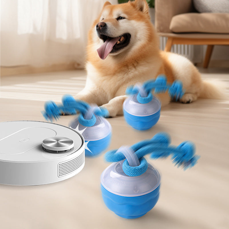Sound-Activated LED Electronic Toy for Dogs | elesira