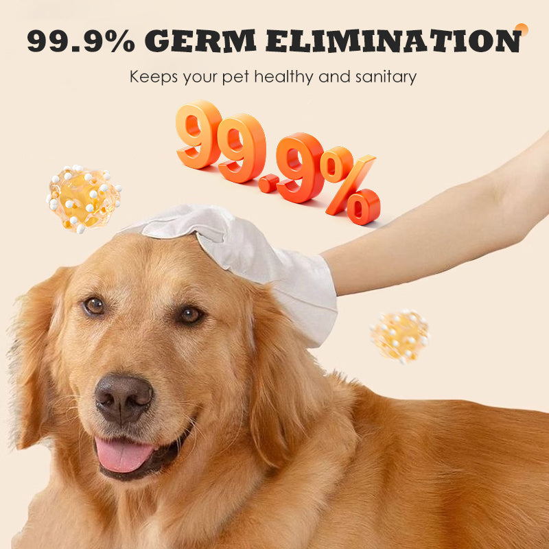 Waterless Antibacterial Gloves for Animal Care | elesira