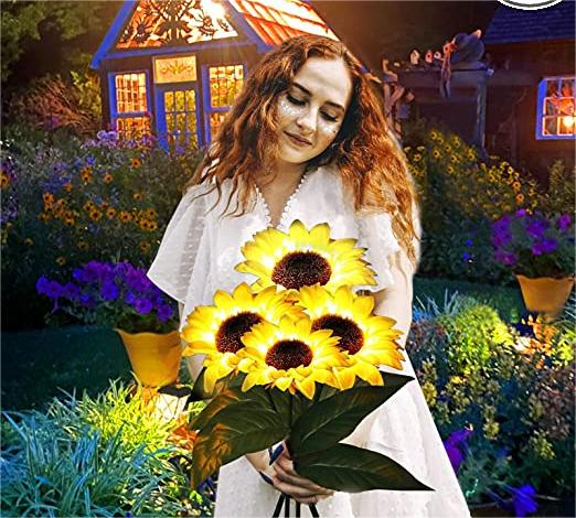SolarBloom | Trasforma le tue notti con una calda luce solare senza sforzo | elesira