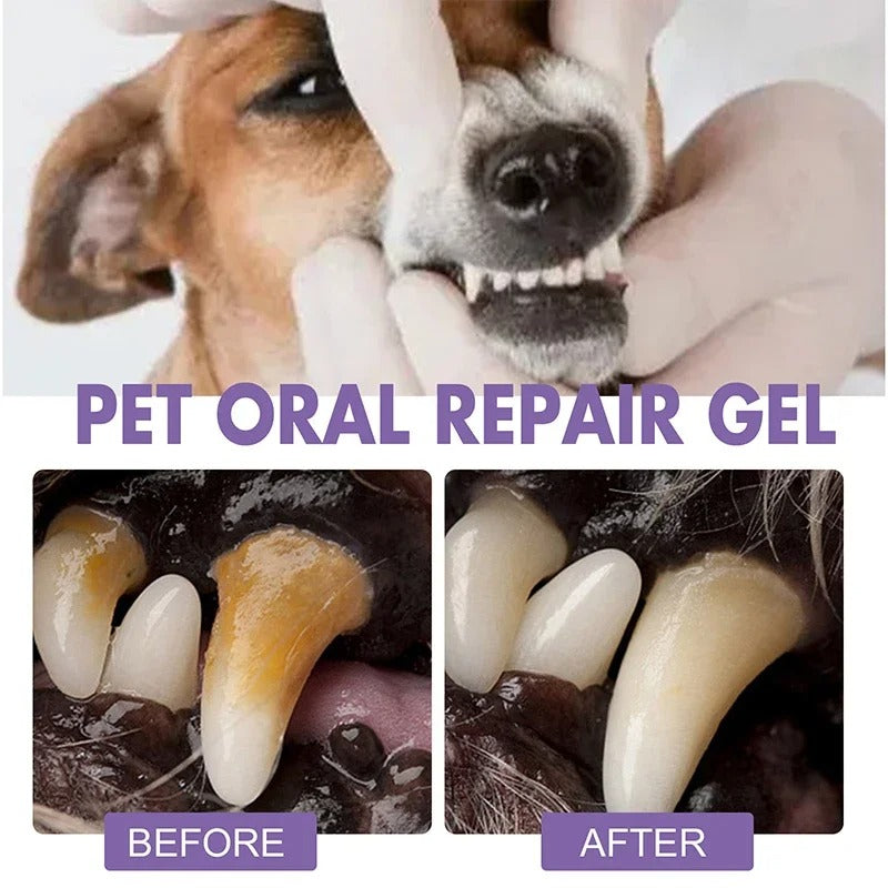 VitaPawSmile | Transforma el aliento y el bienestar de tu mascota en mimos interminables | elesira