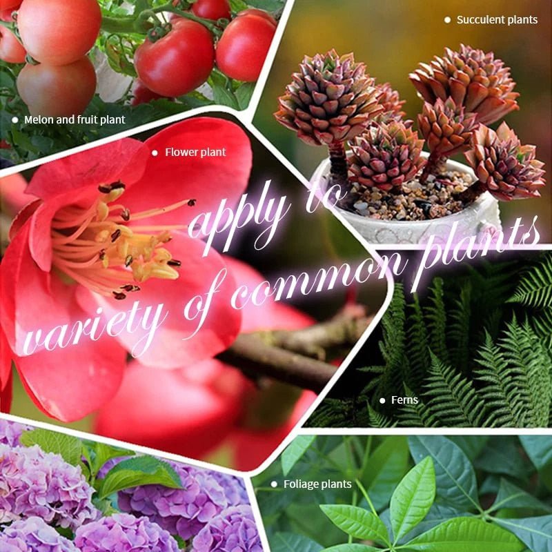 Verdanta Thrive | Transformez votre jardin grâce à une vitalité naturelle durable, sans effort | elesira