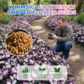 Nasiona VividFlair Butterfly Bloom | Zamień swój ogród w olśniewającą krainę motyli, która zachwyci każdego | elesira