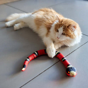 Gioco intelligente per gatti - Design a forma di serpente con sconto del 50% [Ultimo giorno di promozione] | elesira