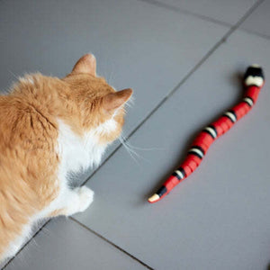 Gioco intelligente per gatti - Design a forma di serpente con sconto del 50% [Ultimo giorno di promozione] | elesira