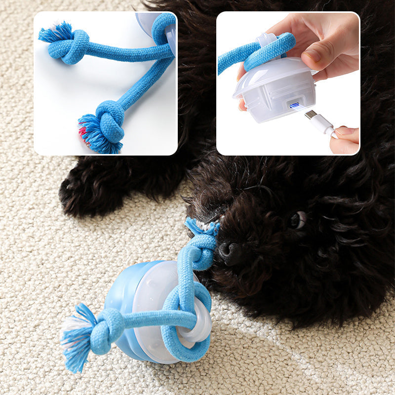 Sound-Activated LED Electronic Toy for Dogs | elesira