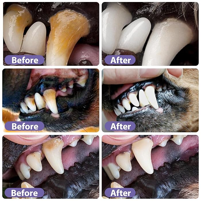 VitaPawSmile | Transforma el aliento y el bienestar de tu mascota en mimos interminables | elesira