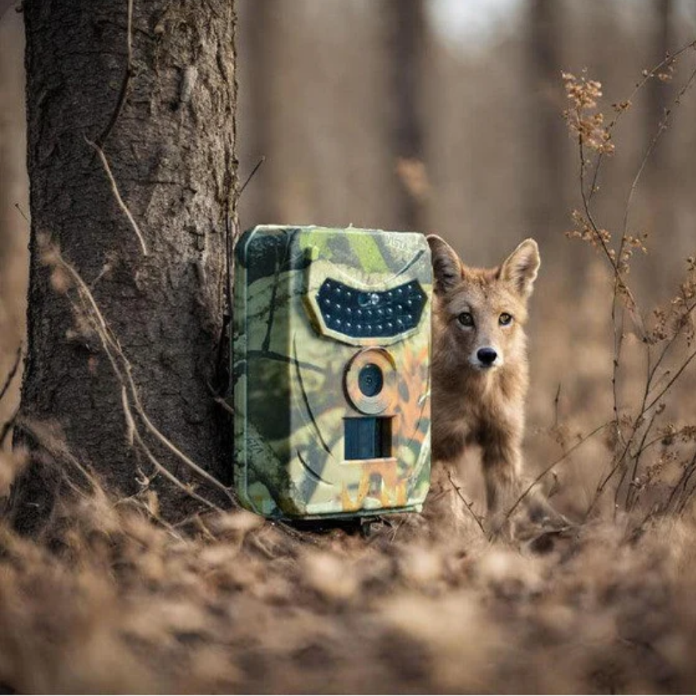 Wildlife Observer Pro - 1080p Night Vision & Rapid Motion Tracking | elesira