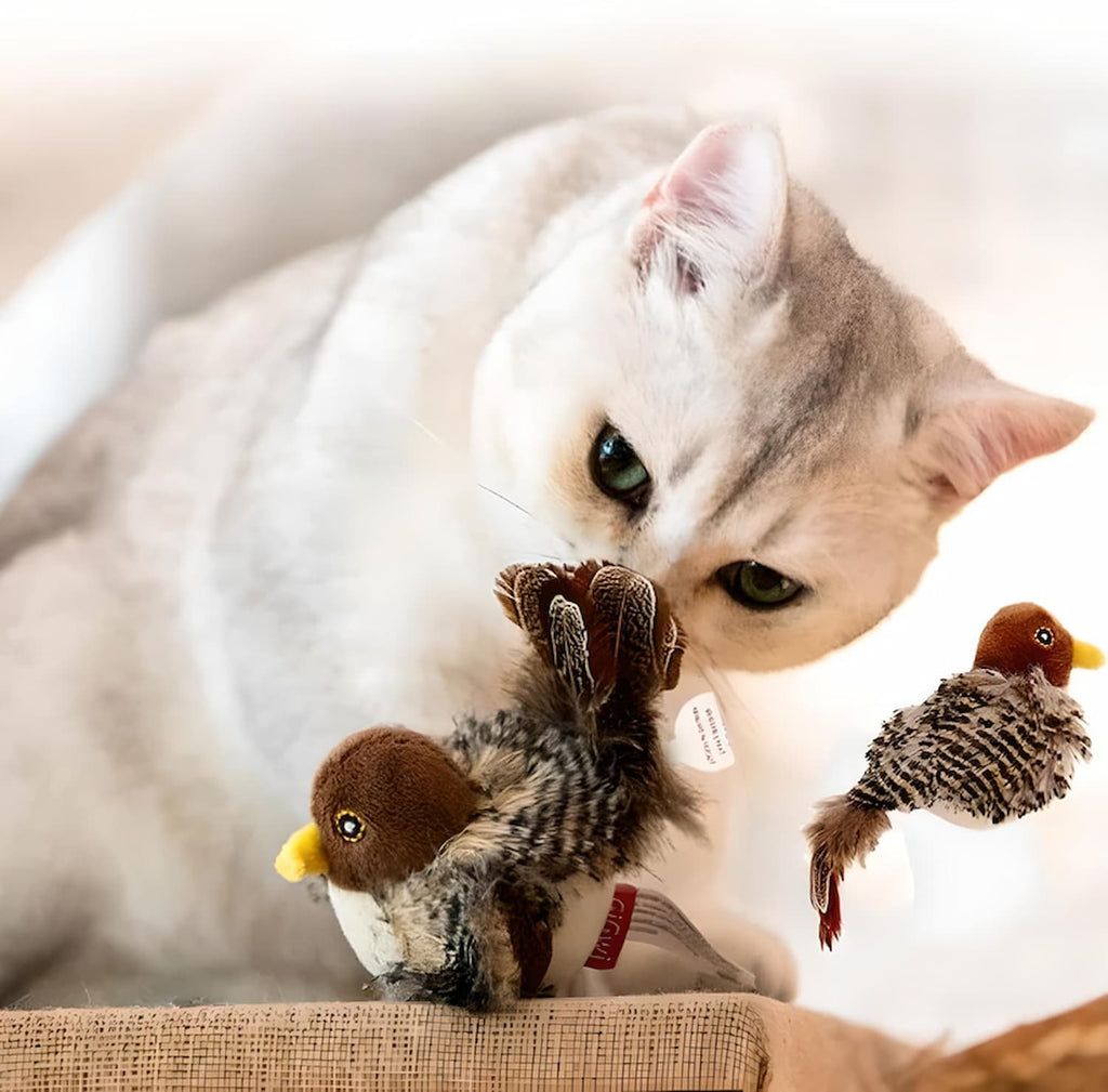 WildWing | Ignite Your Cat’s Wild Instincts with Endless, Thrilling Play | elesira