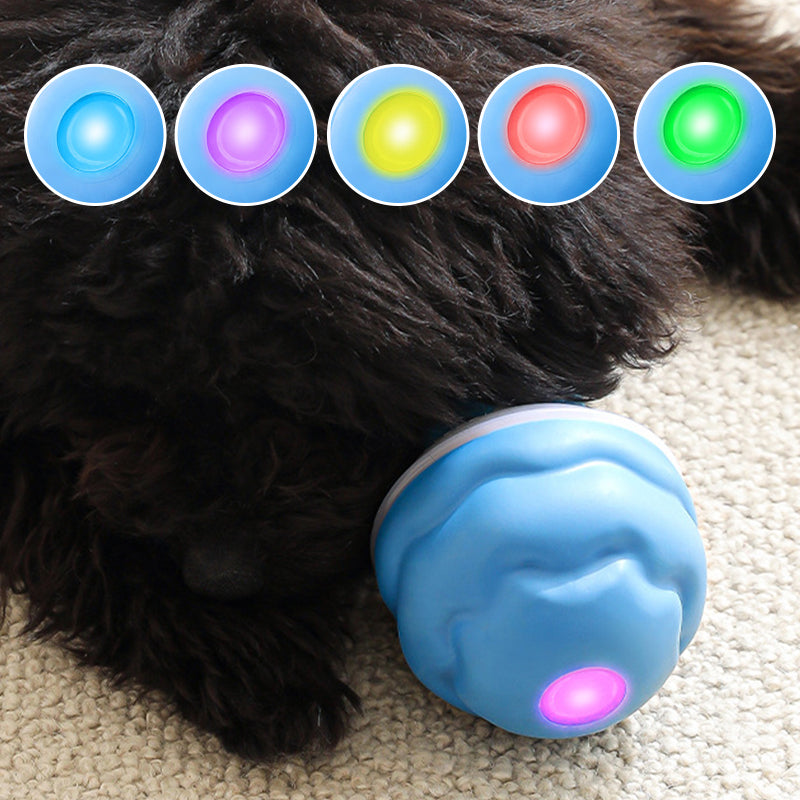 Sound-Activated LED Electronic Toy for Dogs | elesira