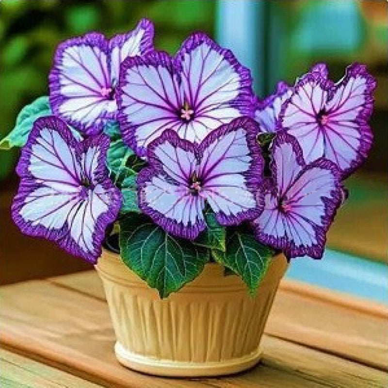 Nasiona VividFlair Butterfly Bloom | Zamień swój ogród w olśniewającą krainę motyli, która zachwyci każdego | elesira