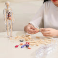 VitaMorph | Descoperă anatomia altfel, prin experiențe interactive la scară naturală | elesira