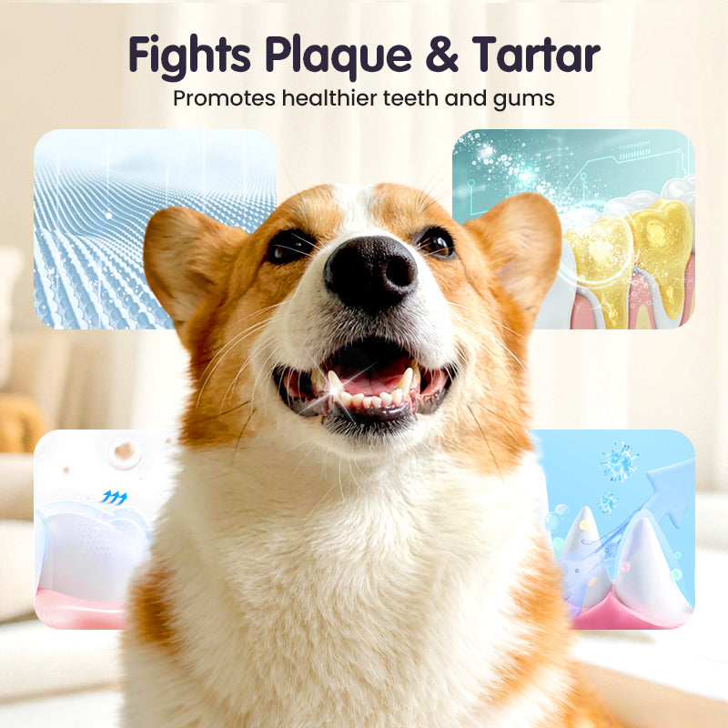 SmileGuard | Transforma el aliento de tu mascota en pura alegría y abrazos sin fin | elesira