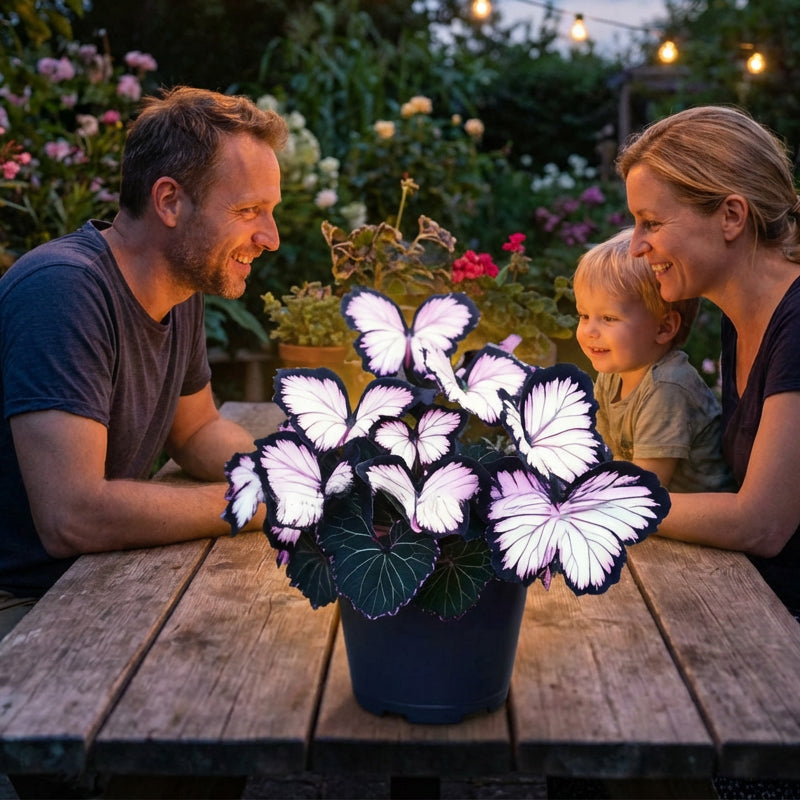 Nasiona VividFlair Butterfly Bloom | Zamień swój ogród w olśniewającą krainę motyli, która zachwyci każdego | elesira