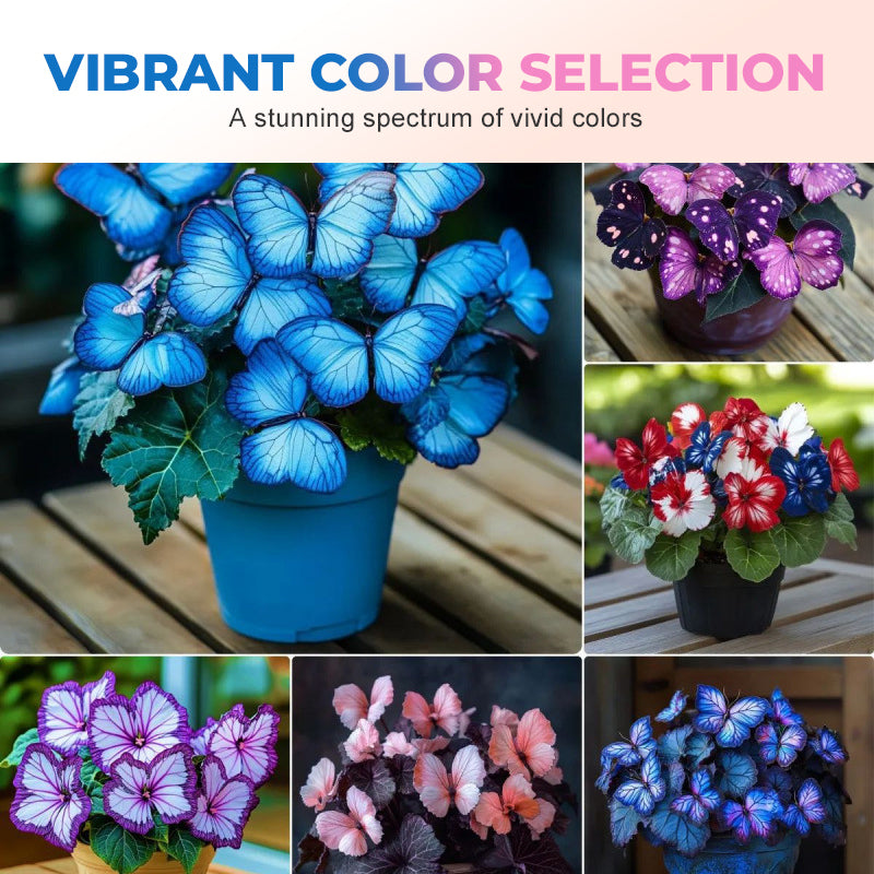 Semillas de mariposa en flor VividFlair | Convierte tu jardín en un deslumbrante paraíso de mariposas que conquista todos los corazones | elesira