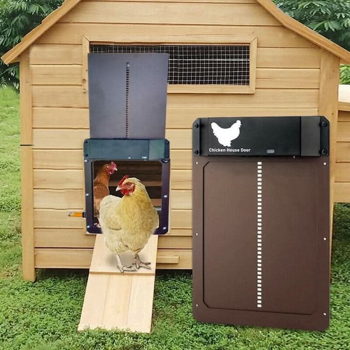 Smart Coop Guardian Door with Light Detection and Weather Shield | elesira