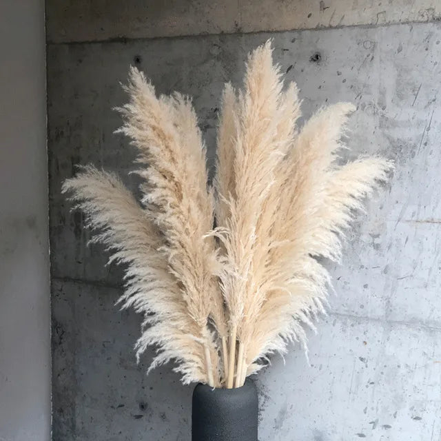 Decoración seca de hierba de las pampas Blissful para dar un toque bohemio al hogar - Elesira