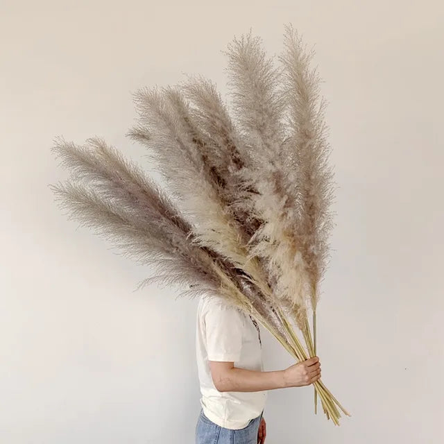 Decoración seca de hierba de las pampas Blissful para dar un toque bohemio al hogar - Elesira