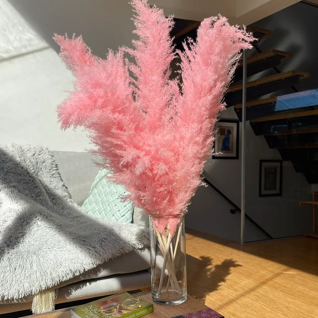 Decoración seca de hierba de las pampas Blissful para dar un toque bohemio al hogar - Elesira