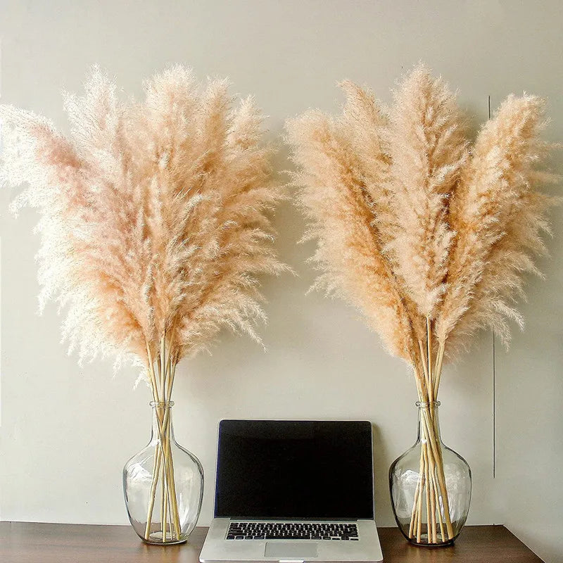 Decoración seca de hierba de las pampas Blissful para dar un toque bohemio al hogar - Elesira