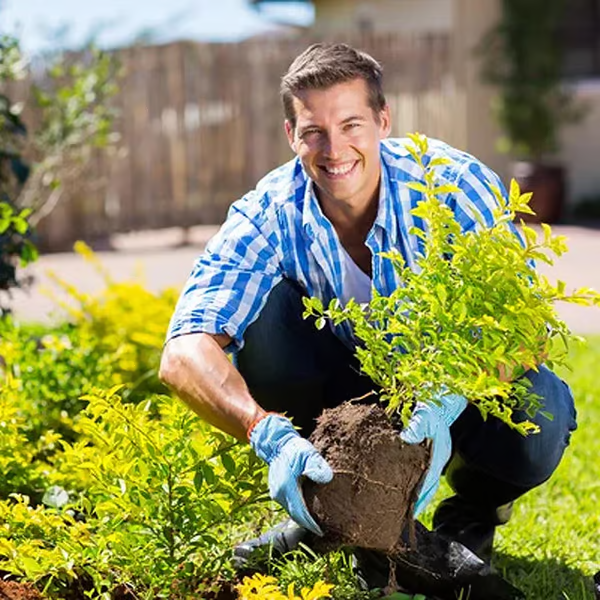 Soil Improvement Powder - Potassium Mineral Complex - For Beds and Pots | elesira