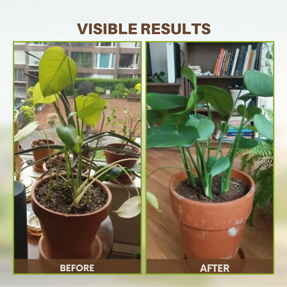 Soil Improvement Powder - Potassium Mineral Complex - For Beds and Pots | elesira