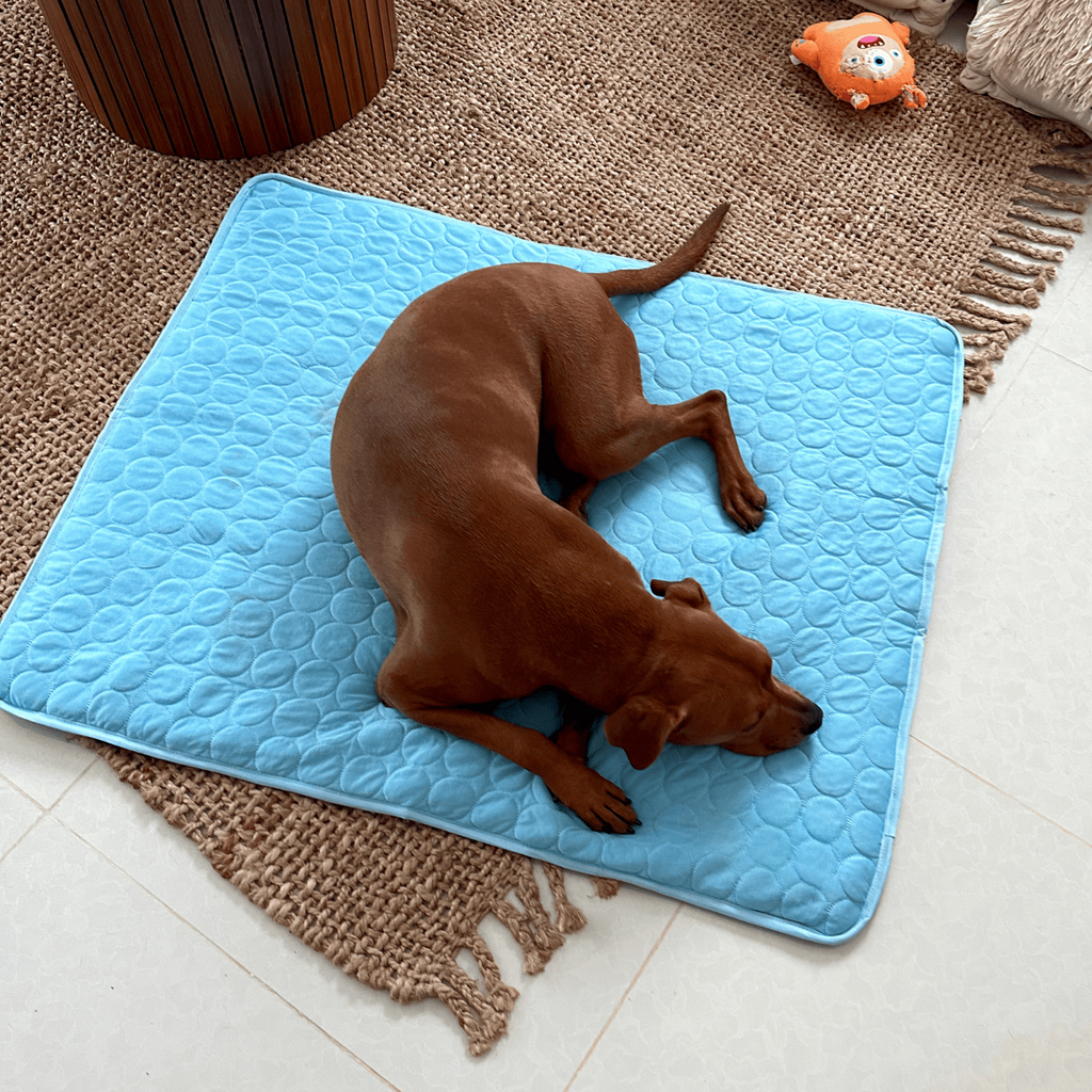 Dog Cooling Mat With Four Times Cooling Power For Hot Weather Comfort - Elesira