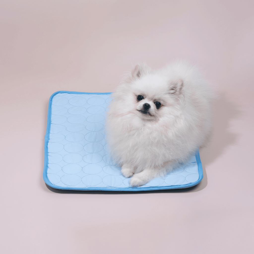 Dog Cooling Mat With Four Times Cooling Power For Hot Weather Comfort - Elesira