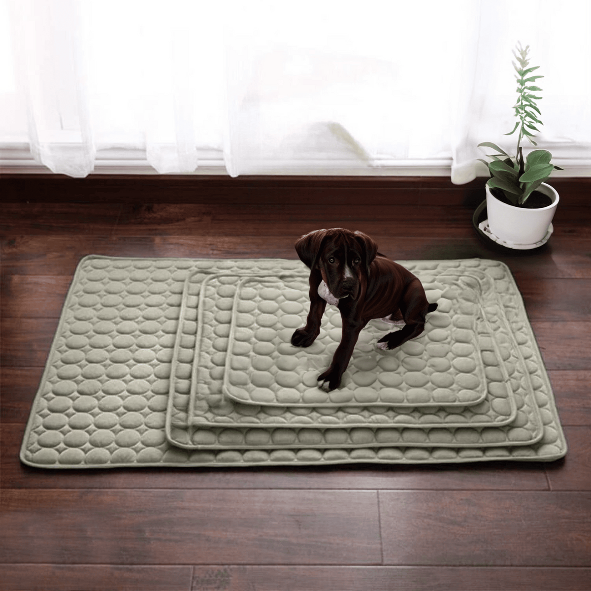Dog Cooling Mat With Four Times Cooling Power For Hot Weather Comfort - Elesira