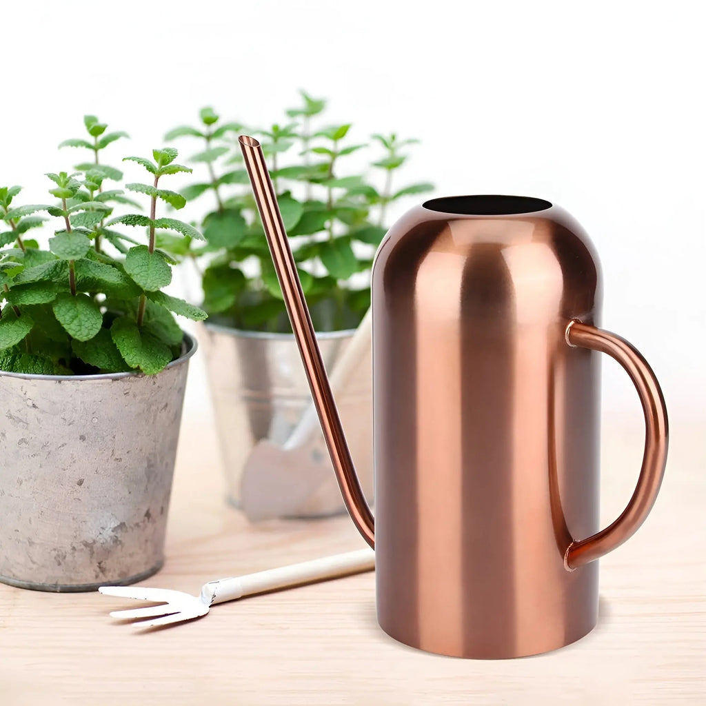 Watering Can in Stainless Steel – Long Spout for Accurate Watering | elesira