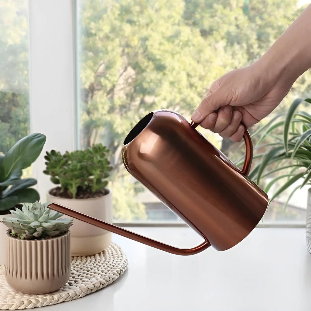 Watering Can in Stainless Steel – Long Spout for Accurate Watering | elesira
