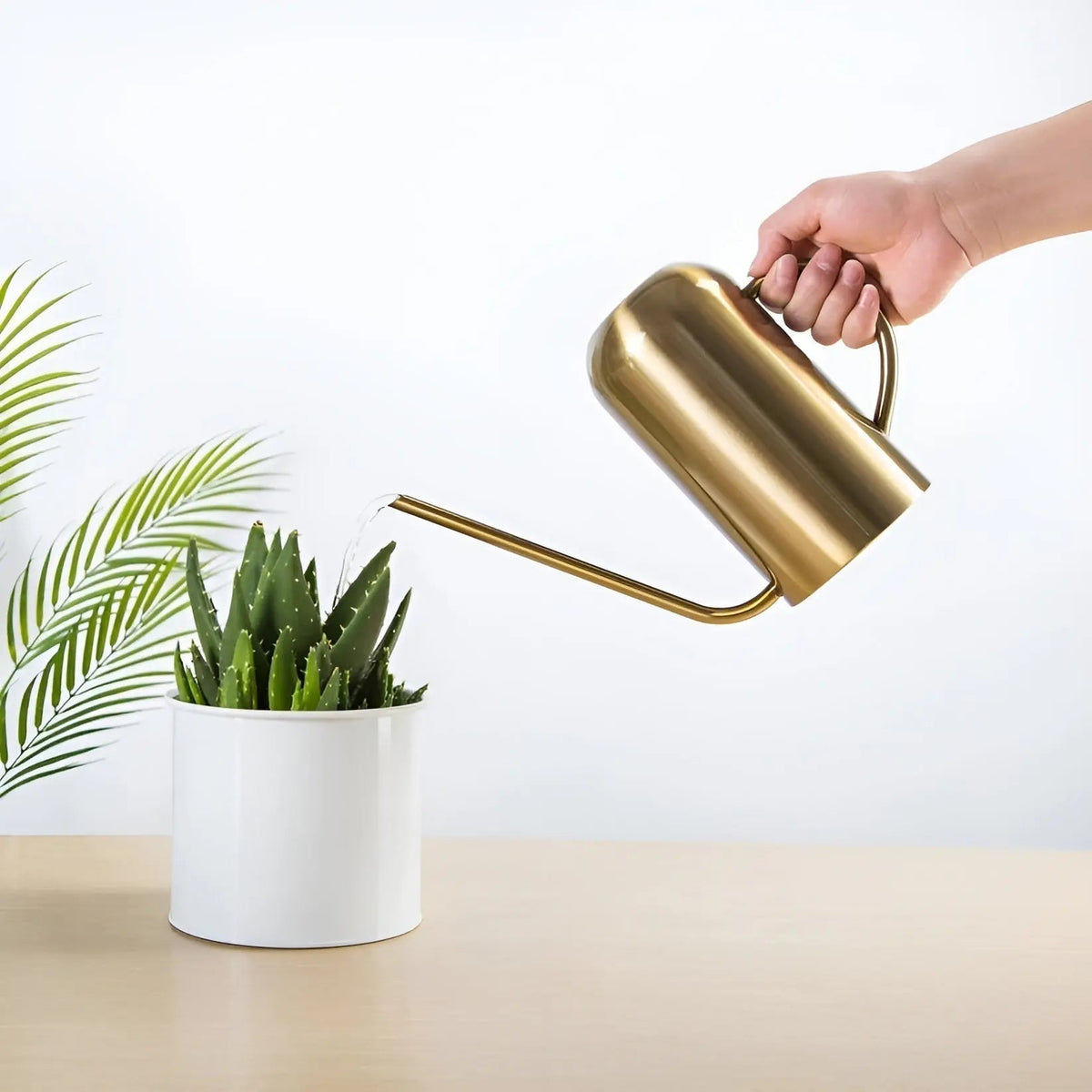 Watering Can in Stainless Steel – Long Spout for Accurate Watering | elesira