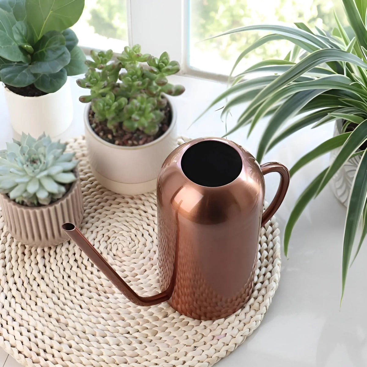 Watering Can in Stainless Steel – Long Spout for Accurate Watering | elesira