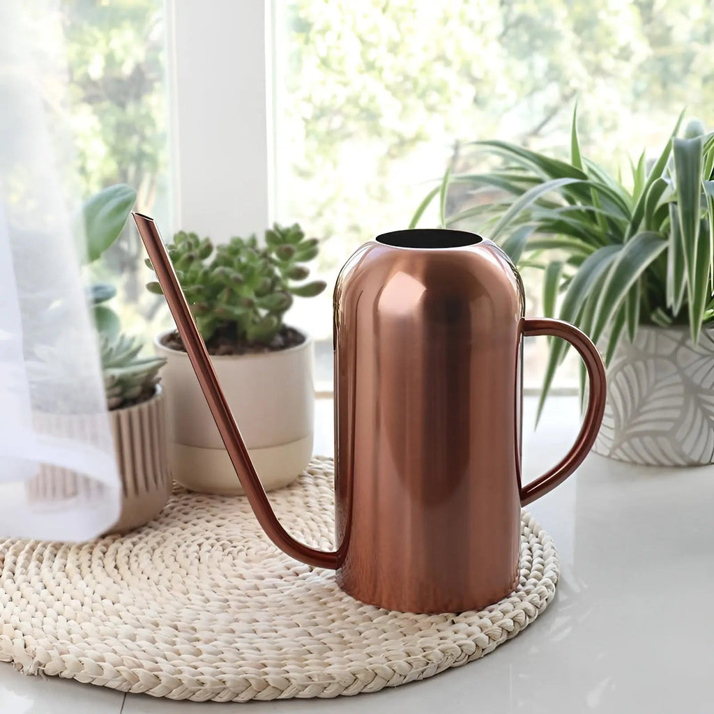 Watering Can in Stainless Steel – Long Spout for Accurate Watering | elesira