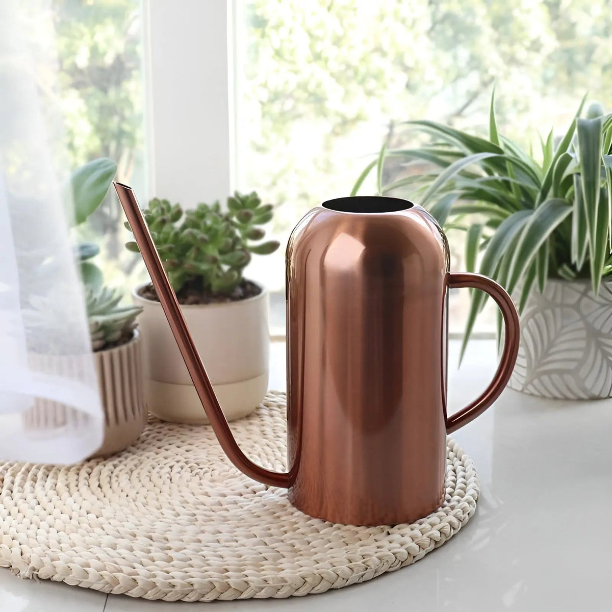Watering Can in Stainless Steel – Long Spout for Accurate Watering | elesira