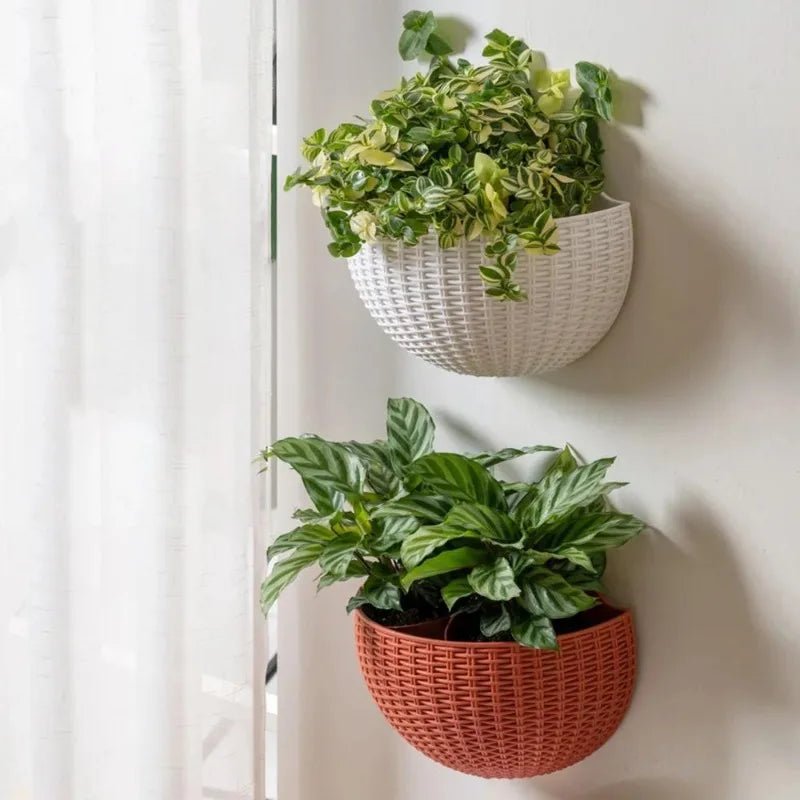 Vertical Greenery Wall Planter with Rattan Design | elesira