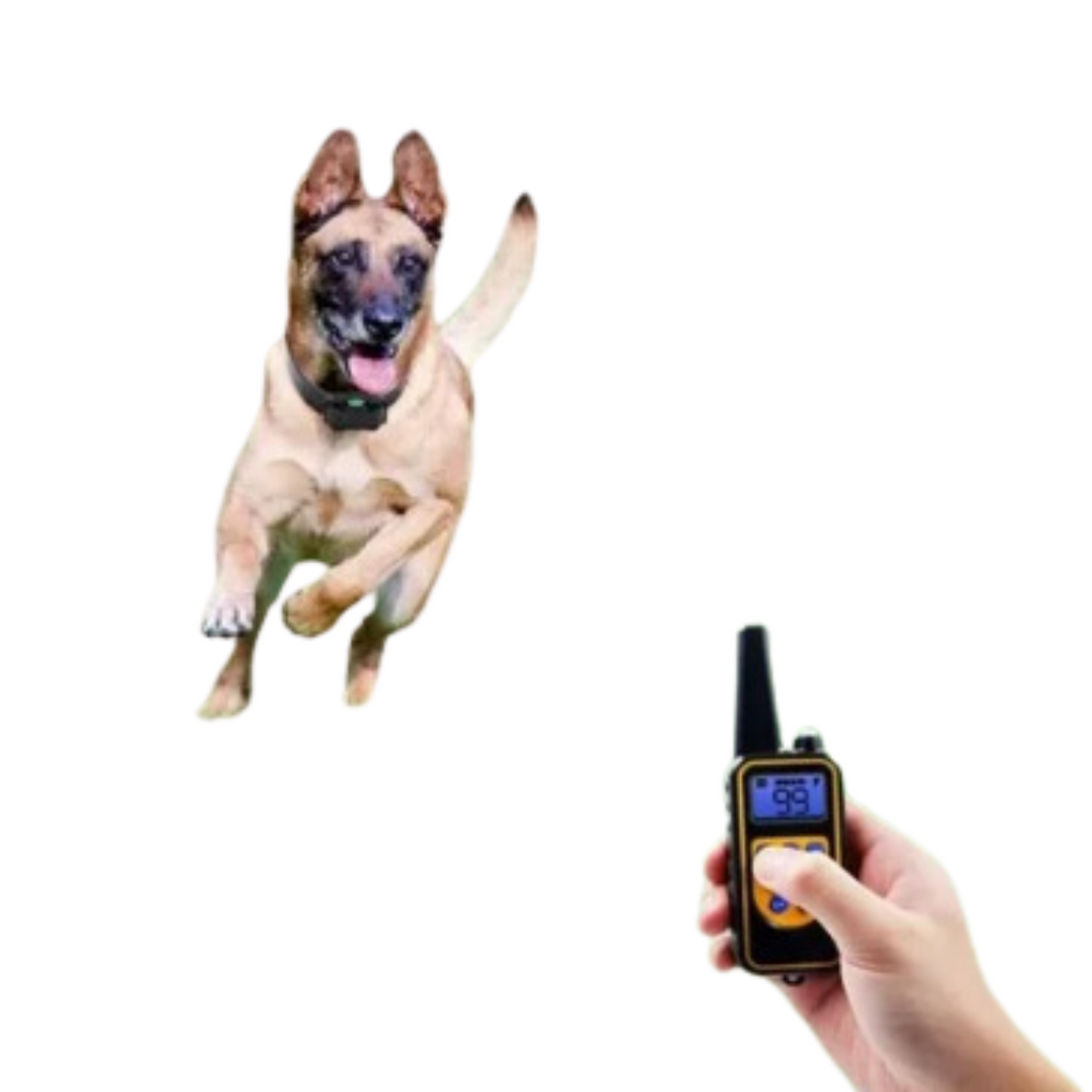 防水可充电遥控犬用训练项圈 | elesira
