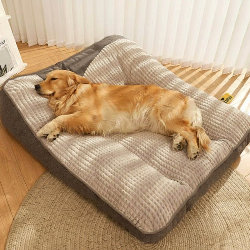 Spacious Anti-Scratch Dog Bed with Orthopedic Neck Support | elesira